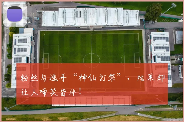 粉丝与选手“神仙打架”,结果却让人啼笑皆非!