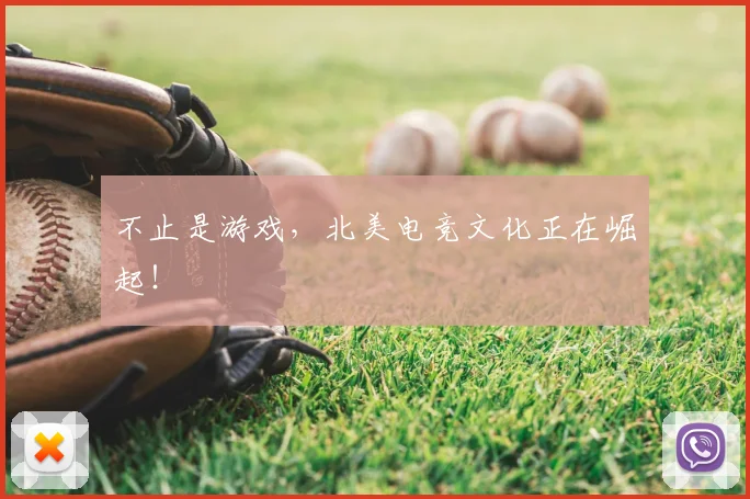不止是游戏，北美电竞文化正在崛起！