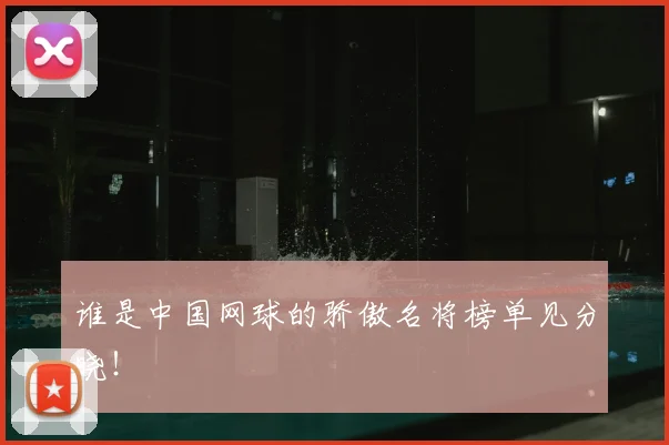谁是中国网球的骄傲名将榜单见分晓!
