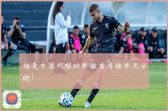 谁是中国网球的骄傲名将榜单见分晓！